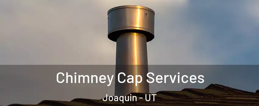 Chimney Cap Services Joaquin - UT