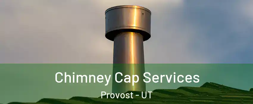 Chimney Cap Services Provost - UT