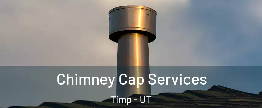 Chimney Cap Services Timp - UT