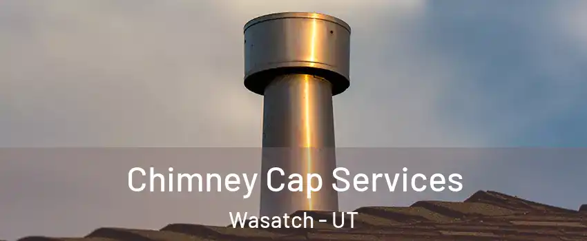 Chimney Cap Services Wasatch - UT