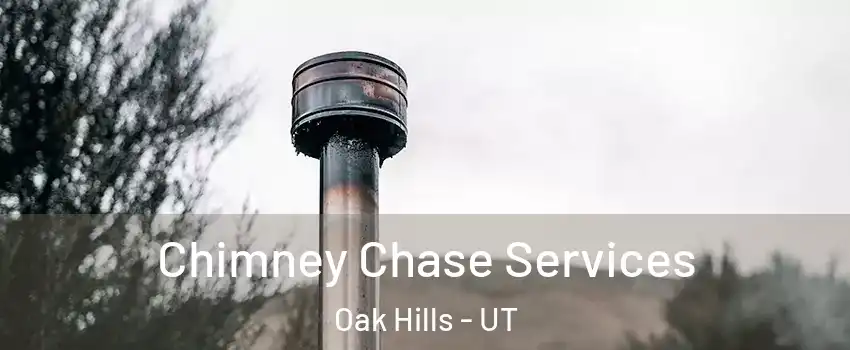 Chimney Chase Services Oak Hills - UT