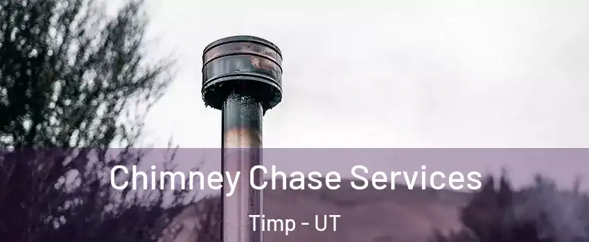 Chimney Chase Services Timp - UT