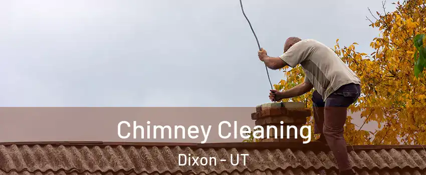 Chimney Cleaning Dixon - UT