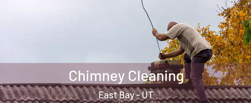Chimney Cleaning East Bay - UT