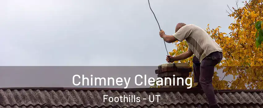 Chimney Cleaning Foothills - UT