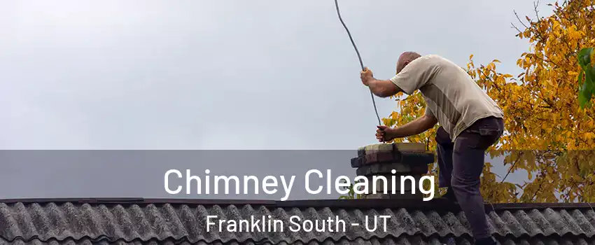 Chimney Cleaning Franklin South - UT
