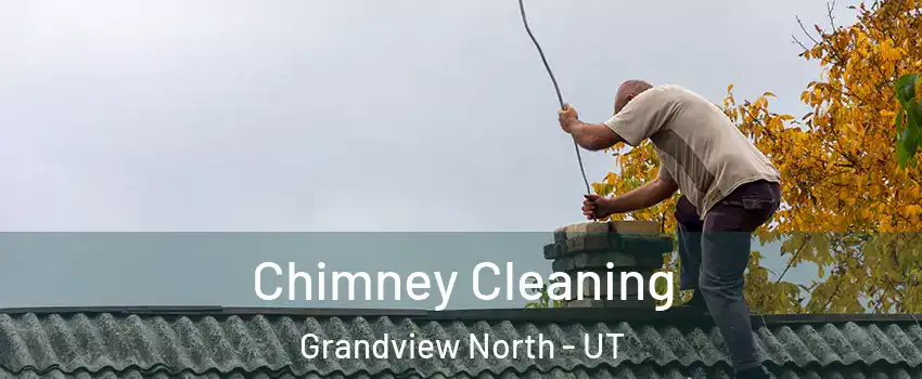 Chimney Cleaning Grandview North - UT