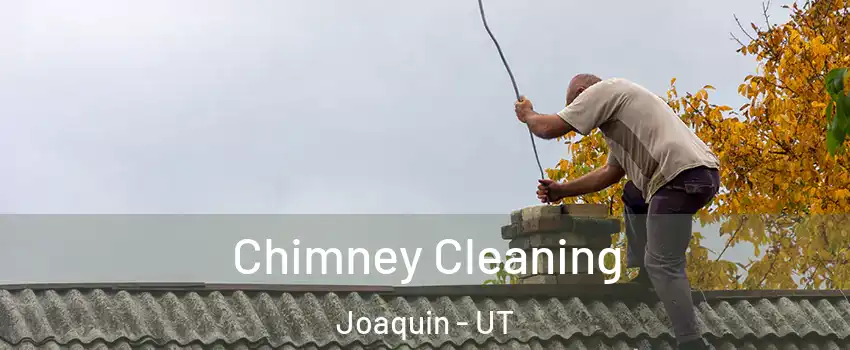 Chimney Cleaning Joaquin - UT