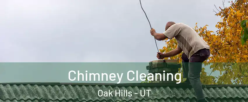 Chimney Cleaning Oak Hills - UT