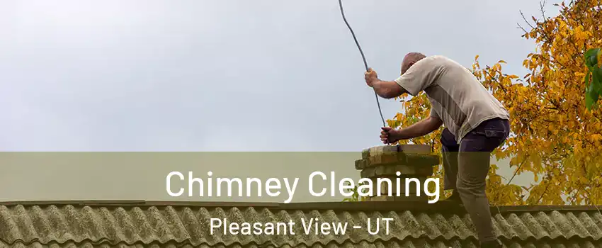 Chimney Cleaning Pleasant View - UT