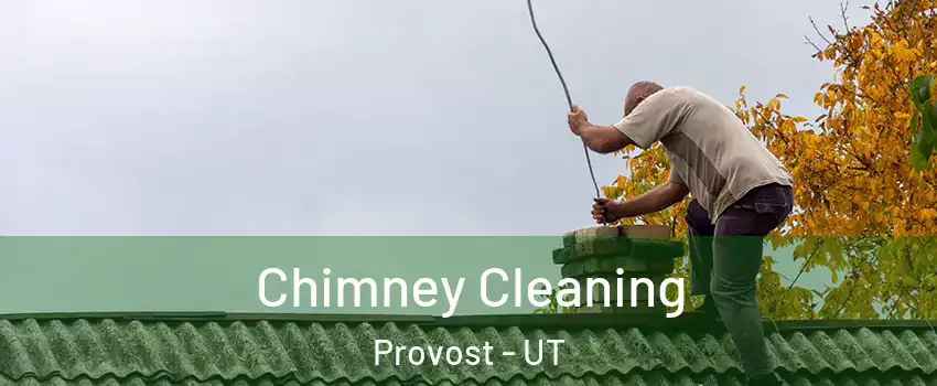 Chimney Cleaning Provost - UT
