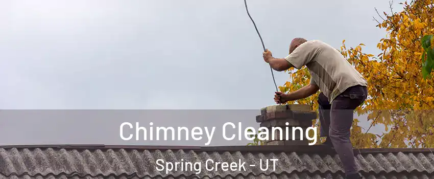 Chimney Cleaning Spring Creek - UT