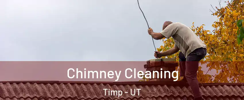 Chimney Cleaning Timp - UT