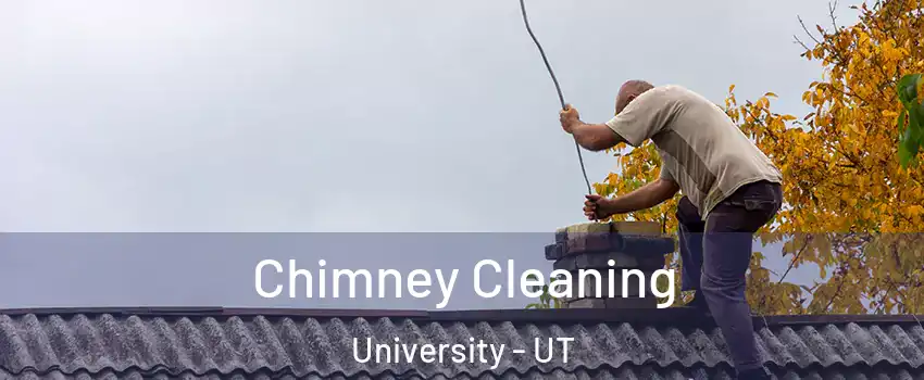 Chimney Cleaning University - UT