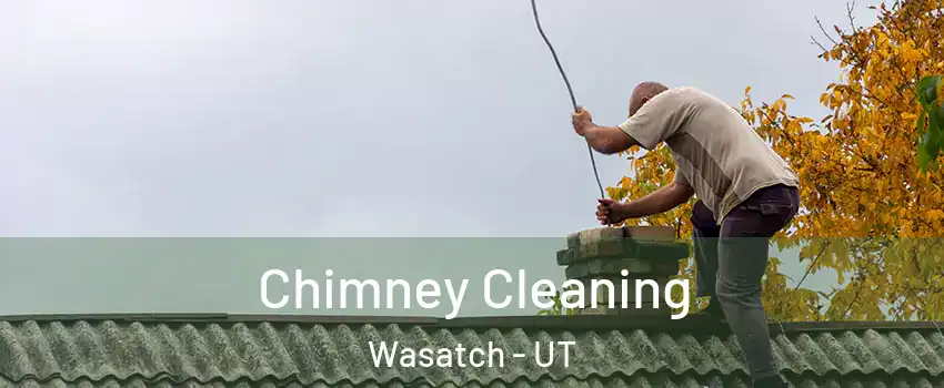 Chimney Cleaning Wasatch - UT