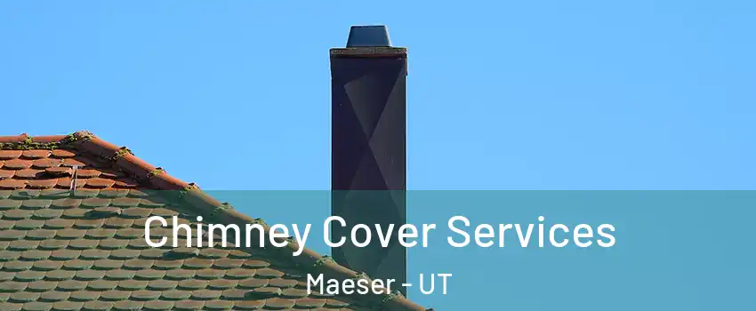 Chimney Cover Services Maeser - UT