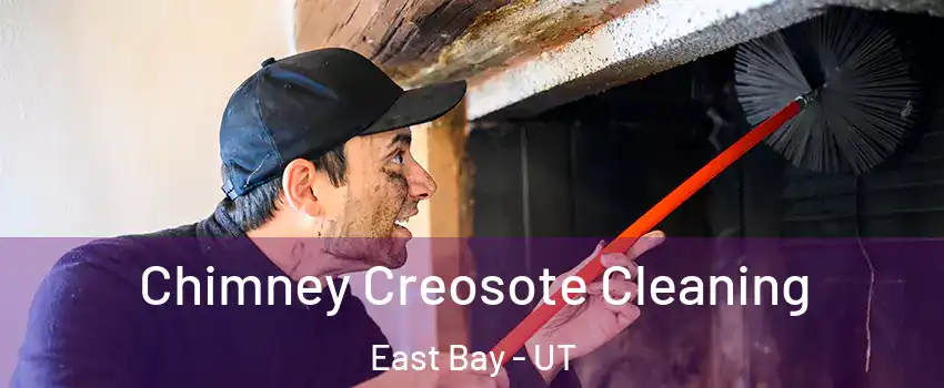Chimney Creosote Cleaning East Bay - UT