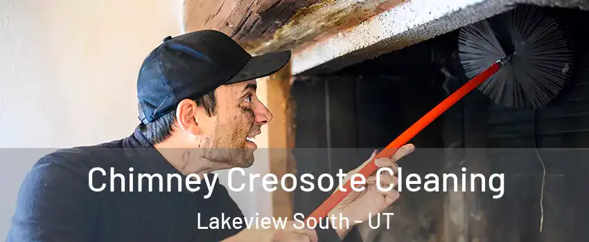 Chimney Creosote Cleaning Lakeview South - UT