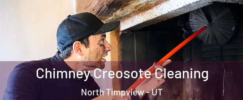 Chimney Creosote Cleaning North Timpview - UT