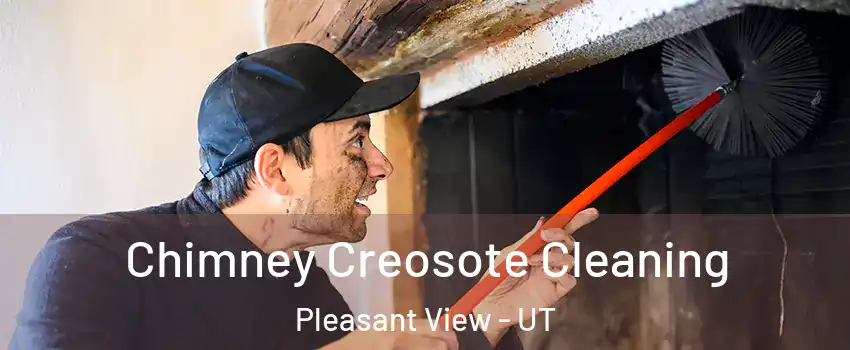 Chimney Creosote Cleaning Pleasant View - UT