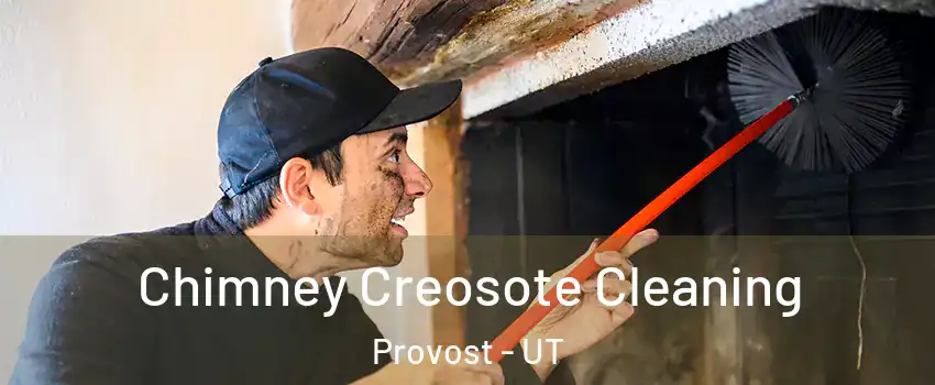 Chimney Creosote Cleaning Provost - UT
