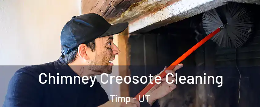 Chimney Creosote Cleaning Timp - UT