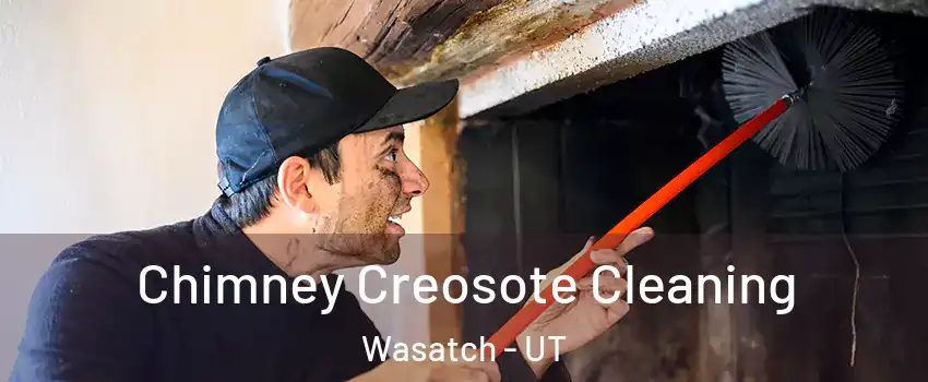 Chimney Creosote Cleaning Wasatch - UT