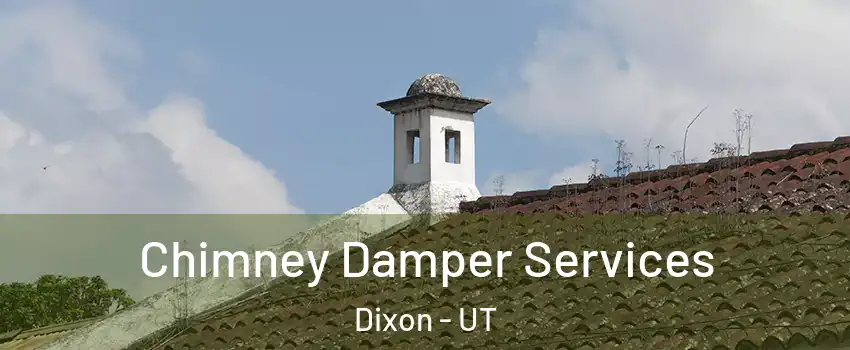 Chimney Damper Services Dixon - UT