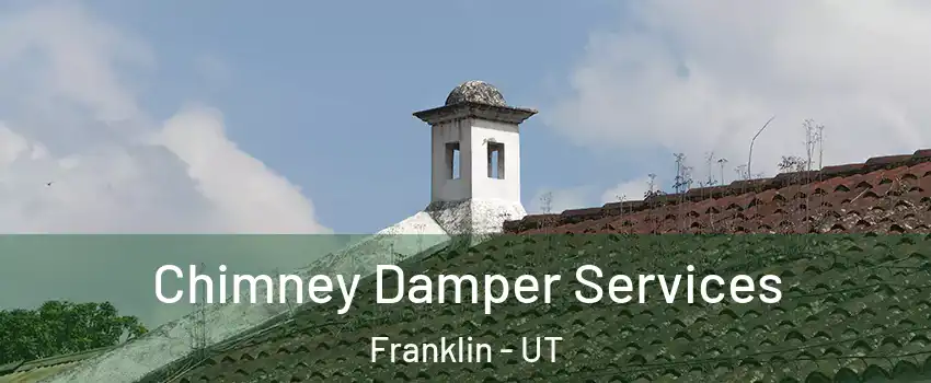 Chimney Damper Services Franklin - UT