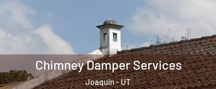 Chimney Damper Services Joaquin - UT