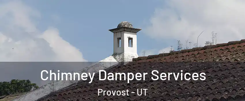 Chimney Damper Services Provost - UT