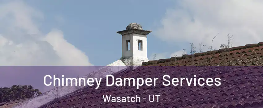 Chimney Damper Services Wasatch - UT