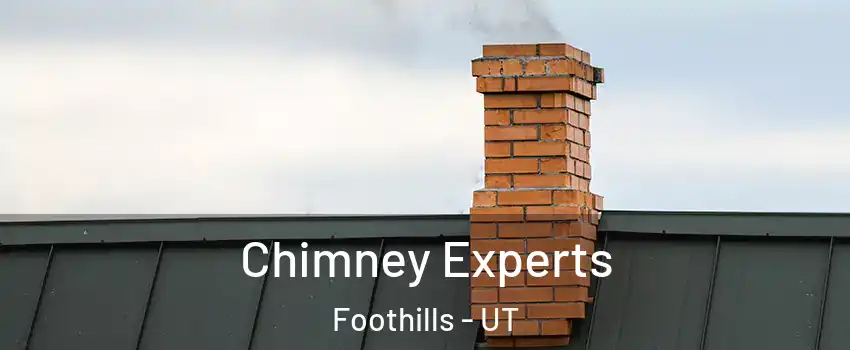 Chimney Experts Foothills - UT