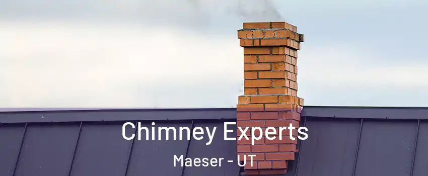 Chimney Experts Maeser - UT