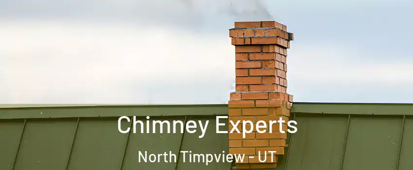Chimney Experts North Timpview - UT