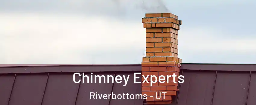 Chimney Experts Riverbottoms - UT