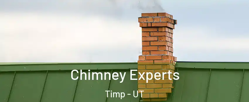Chimney Experts Timp - UT