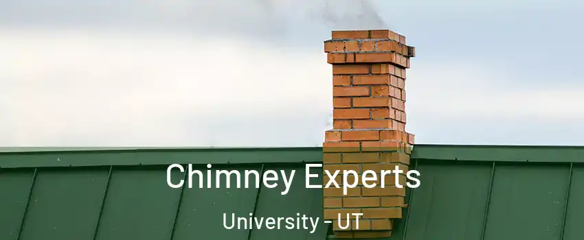 Chimney Experts University - UT