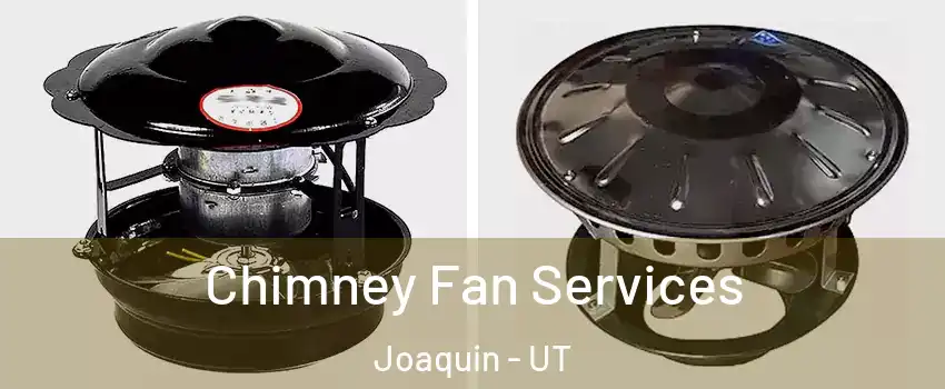 Chimney Fan Services Joaquin - UT