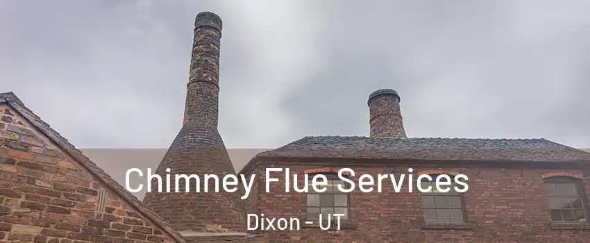 Chimney Flue Services Dixon - UT