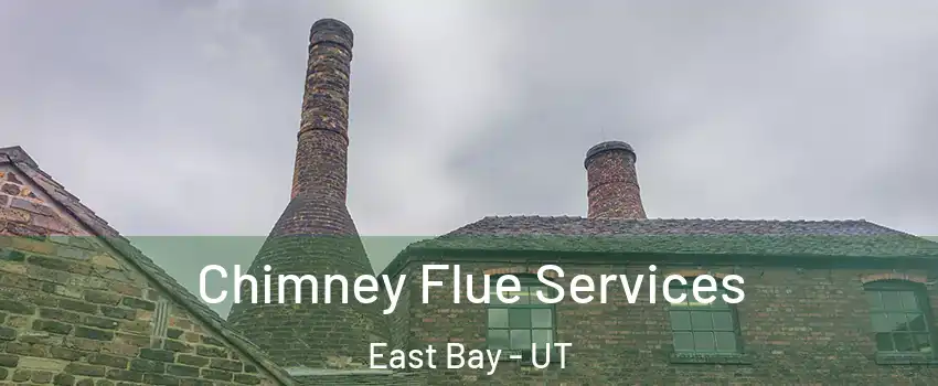 Chimney Flue Services East Bay - UT