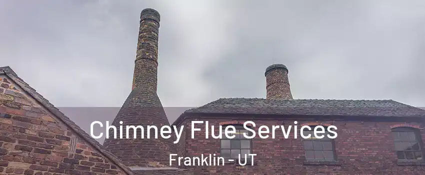 Chimney Flue Services Franklin - UT