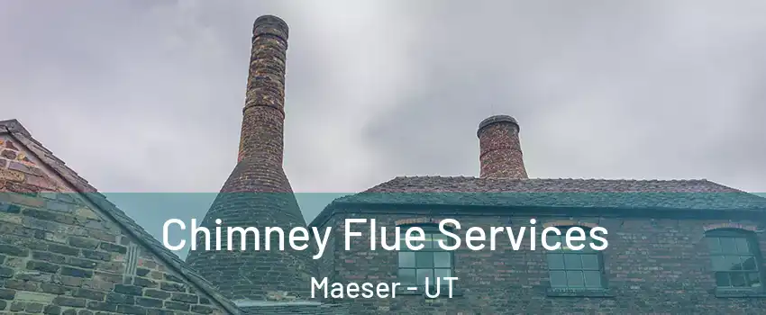 Chimney Flue Services Maeser - UT