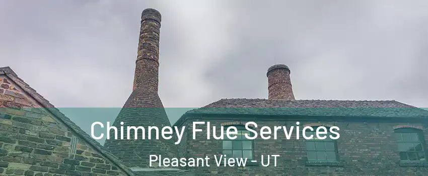 Chimney Flue Services Pleasant View - UT