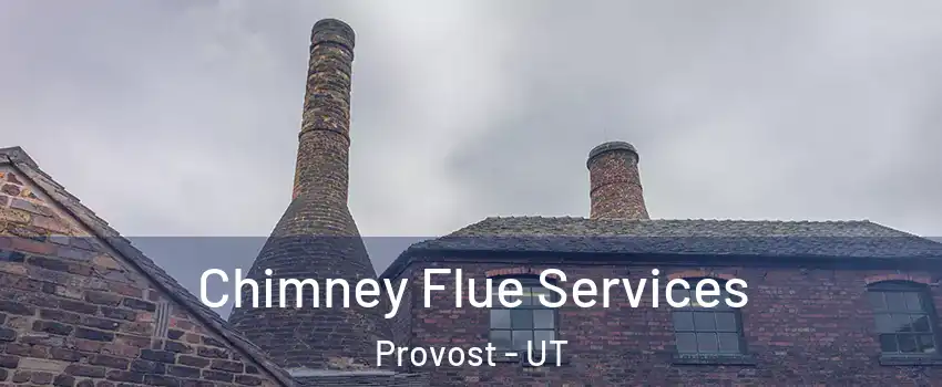 Chimney Flue Services Provost - UT