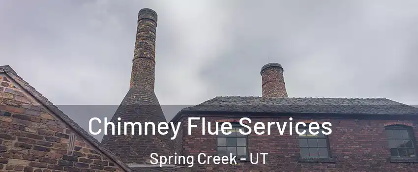 Chimney Flue Services Spring Creek - UT