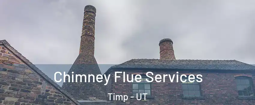 Chimney Flue Services Timp - UT