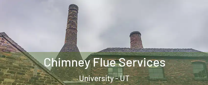 Chimney Flue Services University - UT
