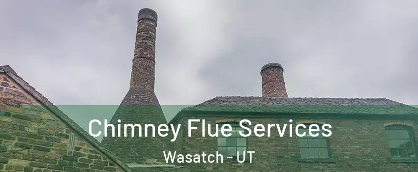 Chimney Flue Services Wasatch - UT