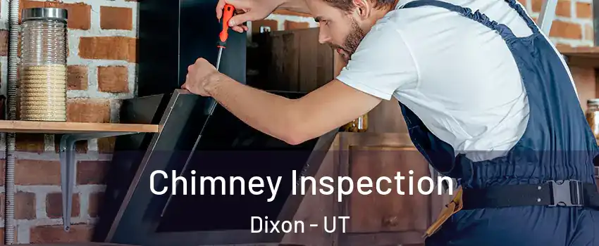 Chimney Inspection Dixon - UT